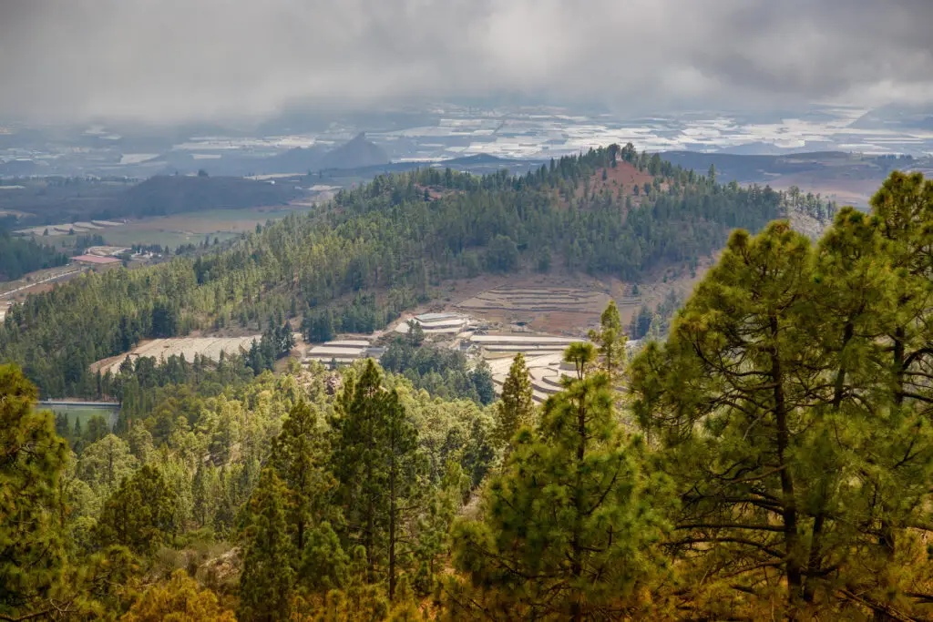 Oregon landscape and service area image
