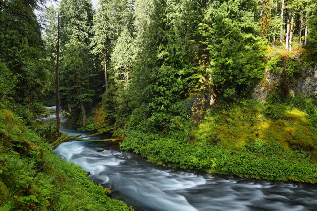 Oregon landscape and service area image