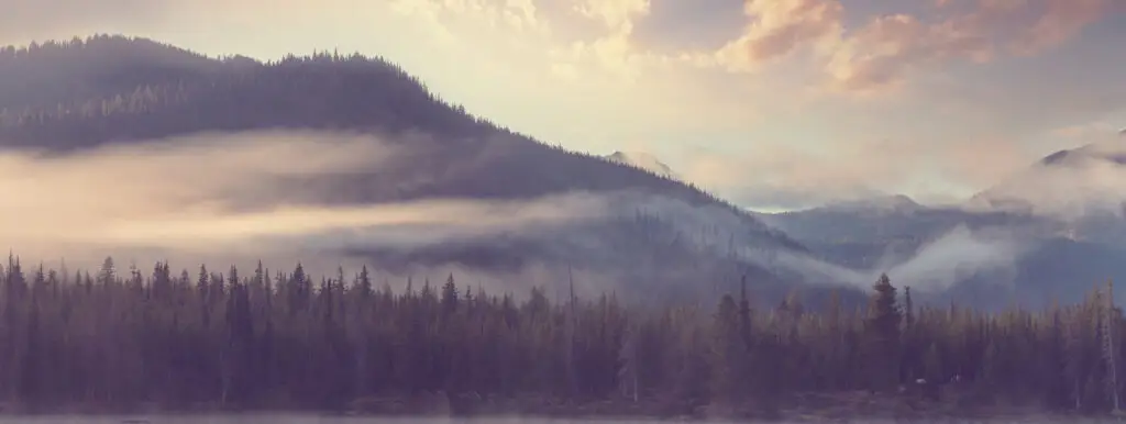 Oregon landscape and service area image